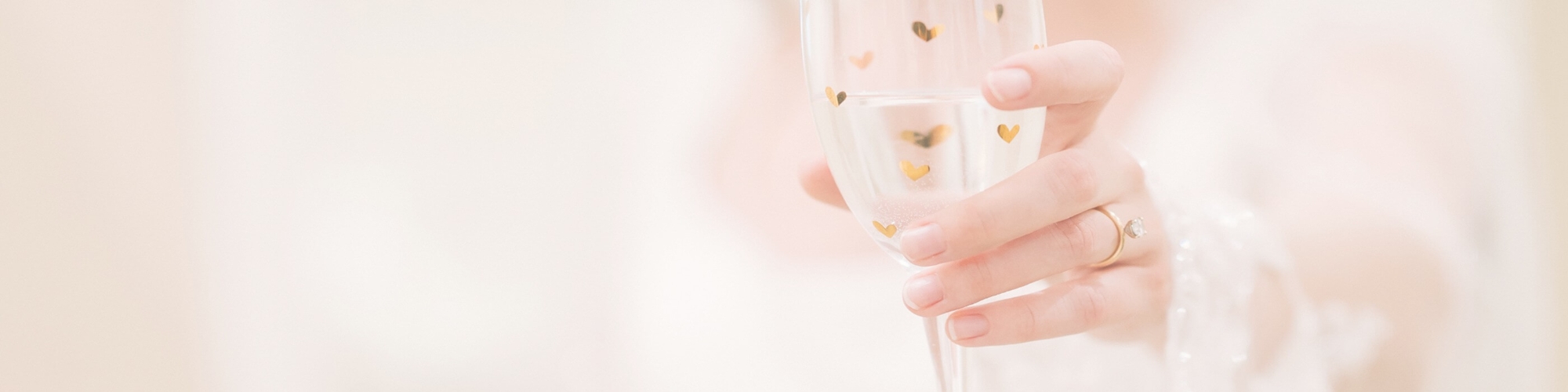 VIP Appointment Experience